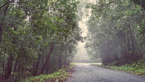 Goa Western Ghats - Download Goa Photos